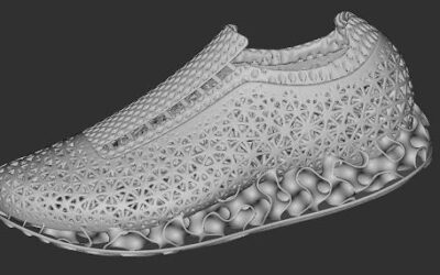 Designing a 3D-Printed Shoe